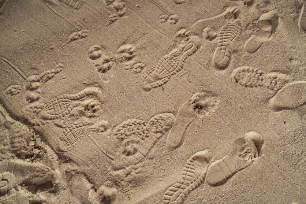 170915_EvernessINY_131.jpg 170915_EvernessINY_131.jpg